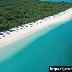 앤티가 바부다 조세 회피처 논란 - **Prompt:** A breathtaking aerial view of a pristine white-sand beach and emerald green ocean in Ant...