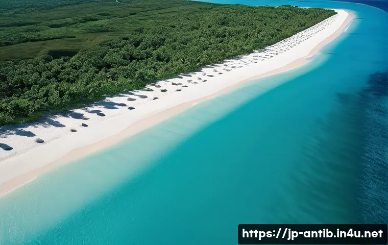 앤티가 바부다 조세 회피처 논란 - **Prompt:** A breathtaking aerial view of a pristine white-sand beach and emerald green ocean in Ant...