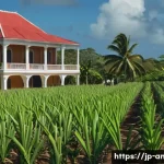 앤티가 바부다 영국 지배 역사 - A detailed colonial-era Antigua and Barbuda sugar plantation scene in the 17th century, showcasing l...